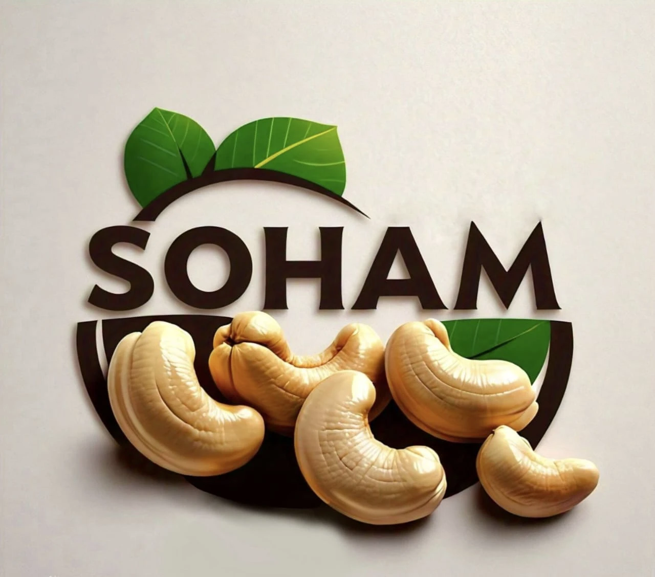Soham Cashew & Agro